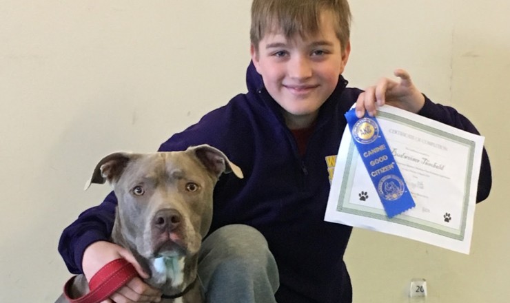 Kid Holding Canine Good Citizen Certificate